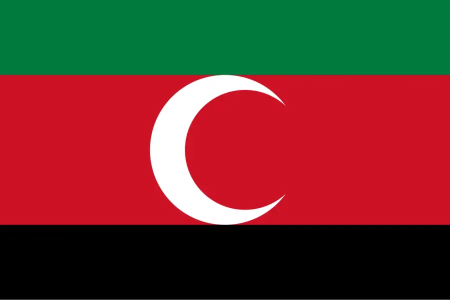 The Sudan Liberation Movement/Army card