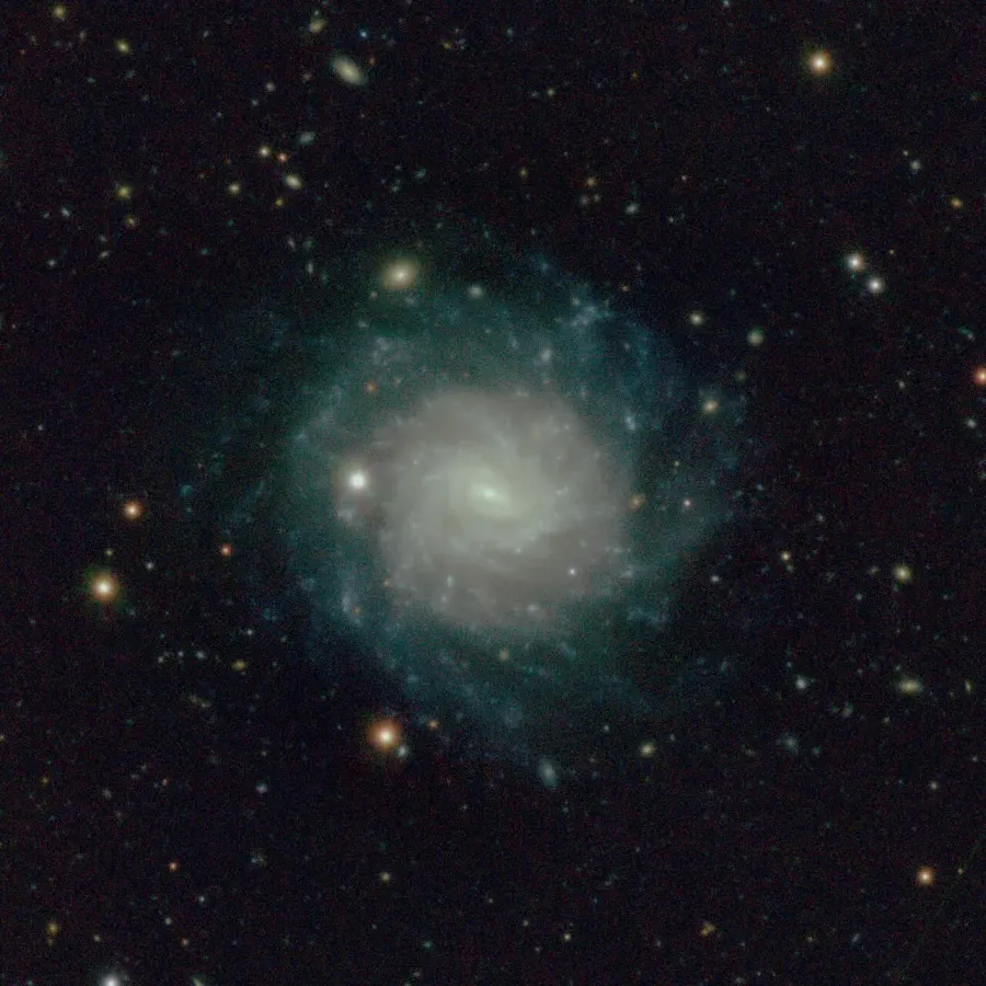 La carte NGC 101