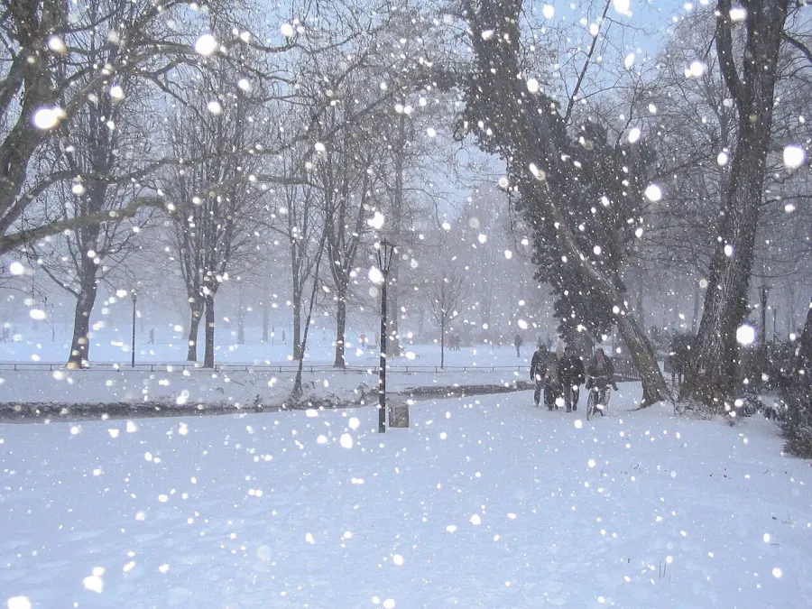 La carte Neige