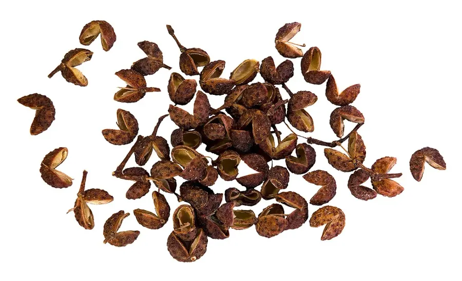 The Sichuan pepper card