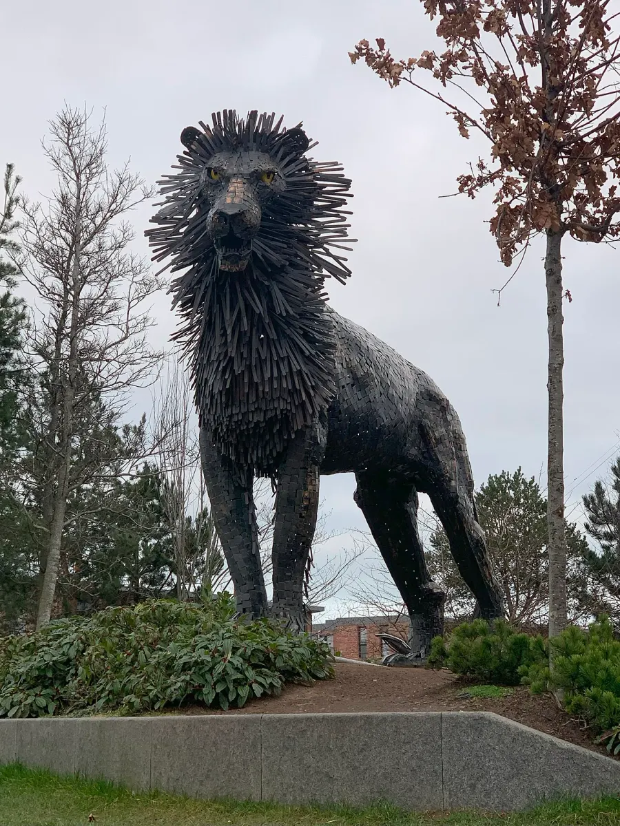 La carte Aslan