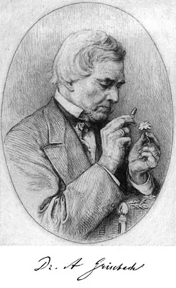 La carte August Grisebach