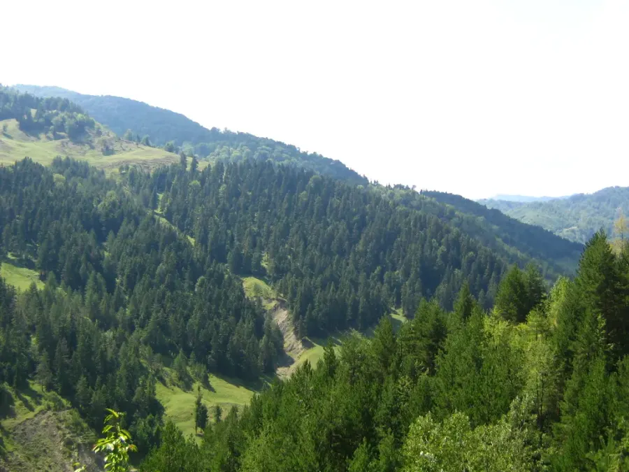 The Andreiașu de Jos card