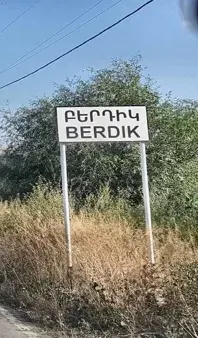 The Berdik card