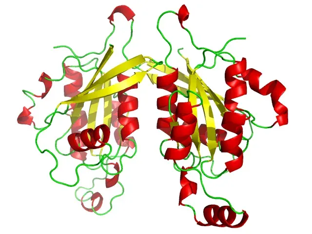 La carte GTPase