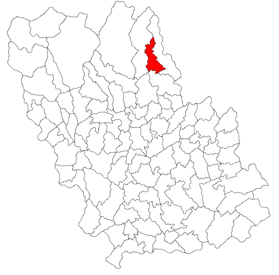 The Bătrâni card