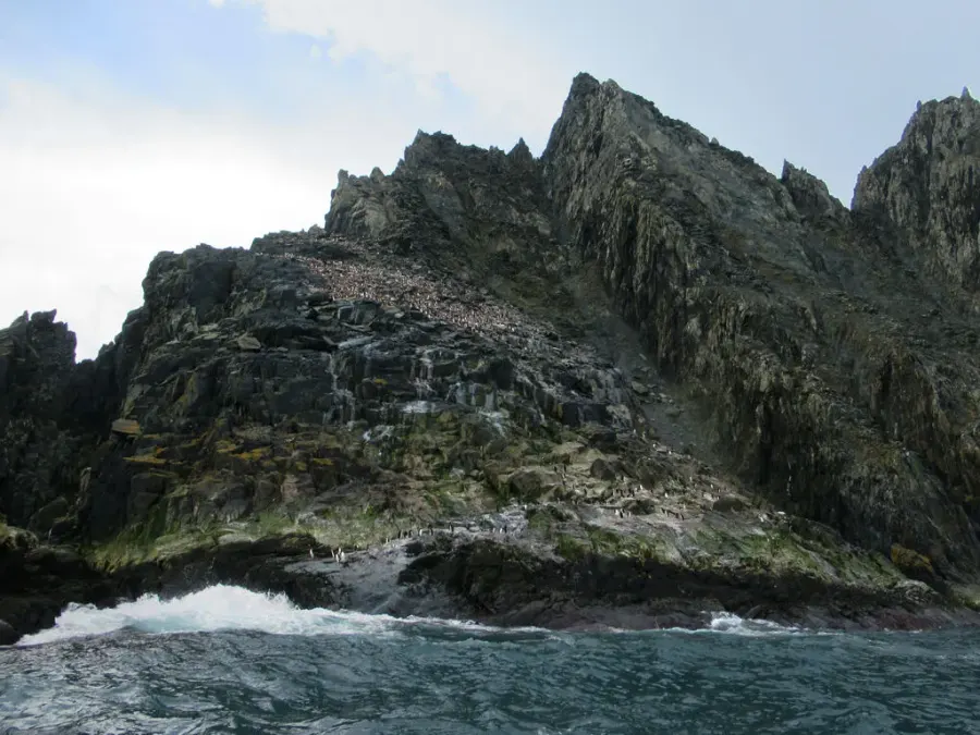 La carte Île Rowett