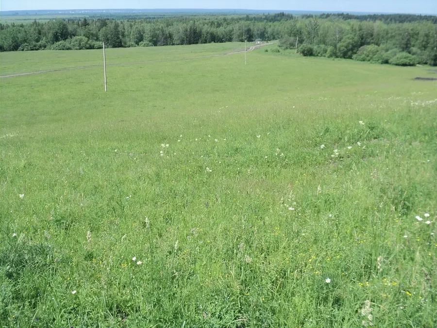 La carte Prairie