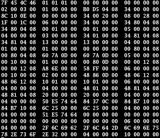 The Executable card