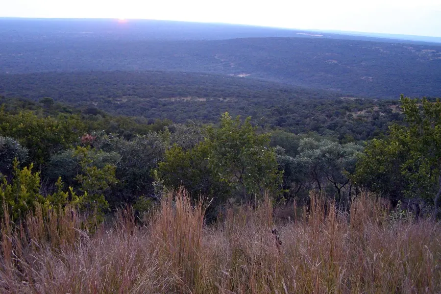 La carte Bushveld