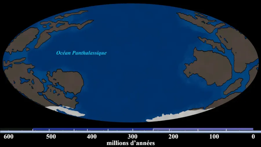 The Plate tectonics theory card