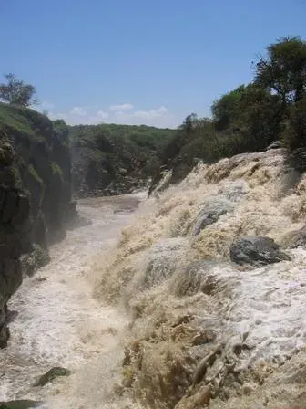 The Awash River card