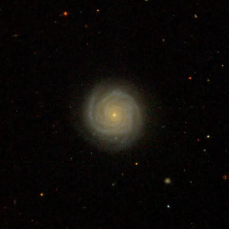La carte NGC 198