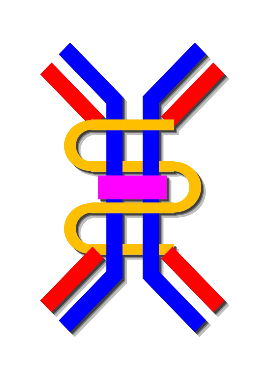 La carte Immunoglobuline A