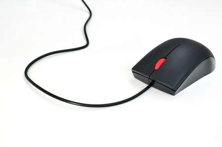 The Computer mouse card