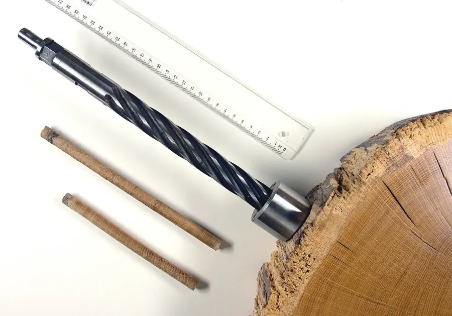 The Dendrochronology card