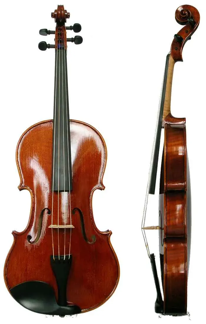 The Viola card