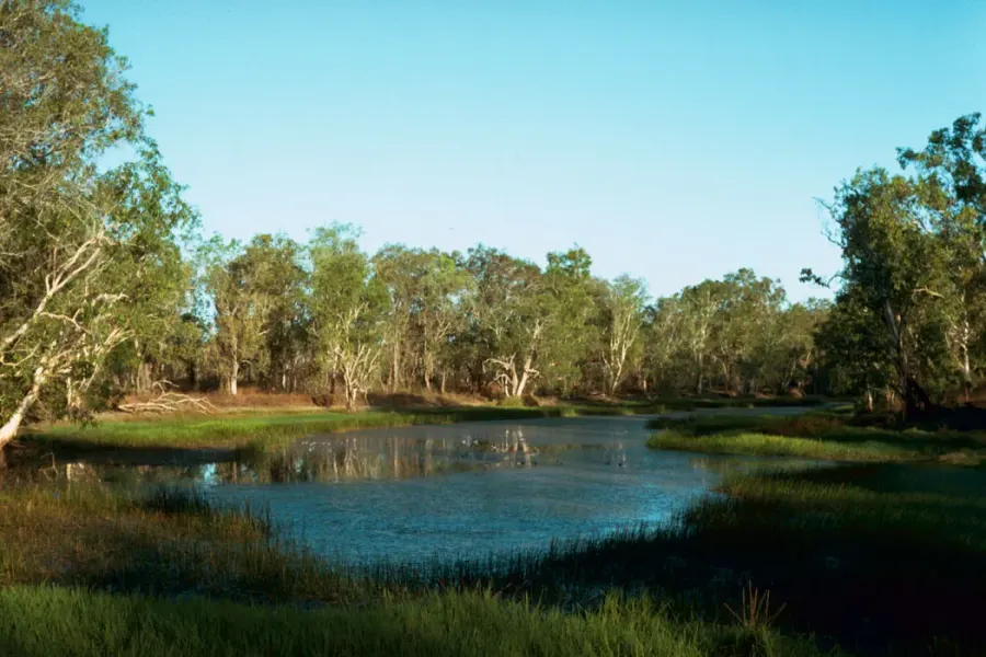 The Billabong card