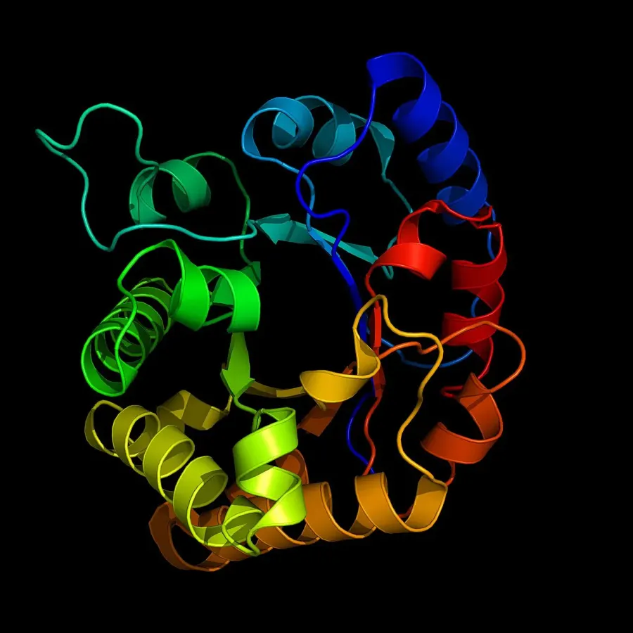La carte Enzyme