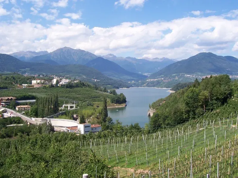 The Novella, Trentino card