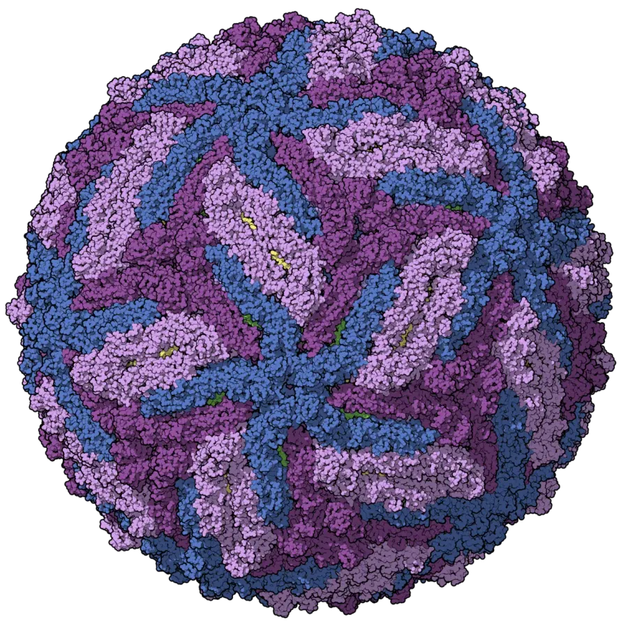 La carte Virus