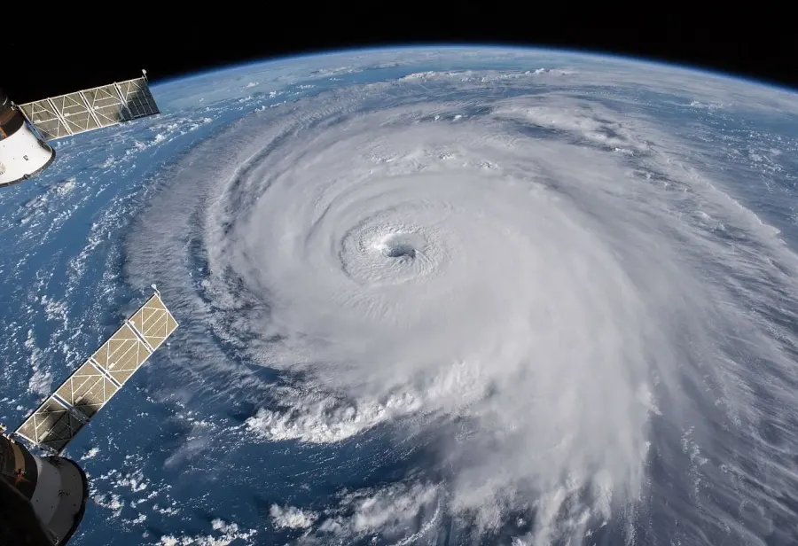 The Tropical cyclone card