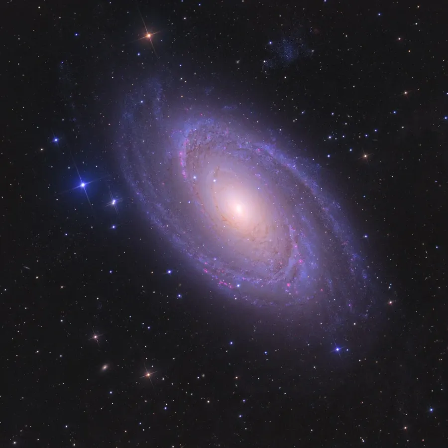 La carte M81