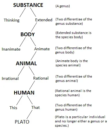 The Porphyrian tree card