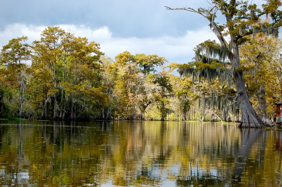 La carte Bayou