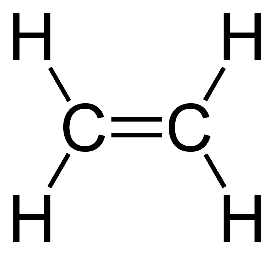 The Alkene card