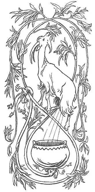 La carte Læraðr