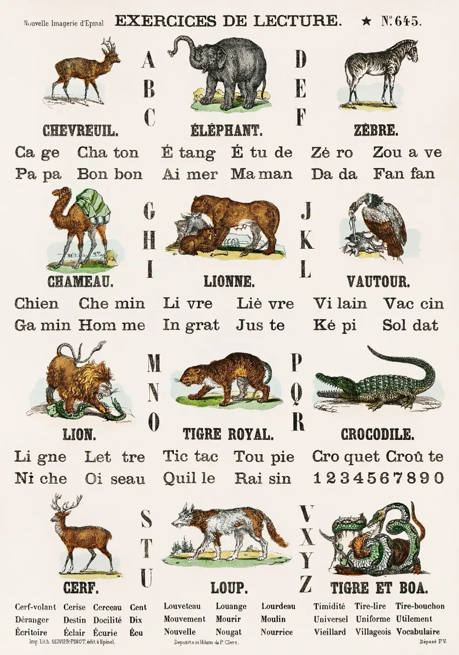 The Literacy card