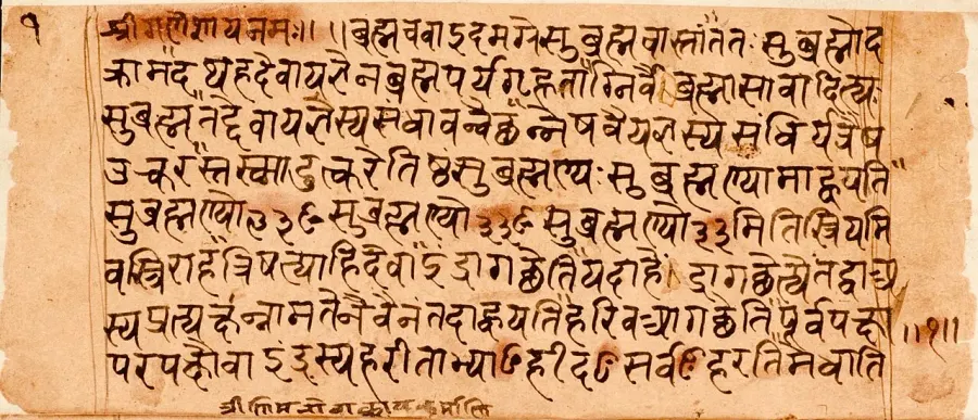 The Brahmana card