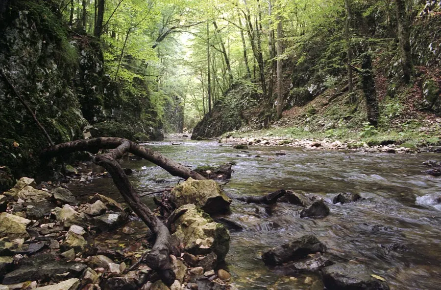 The Semenic-Caraș Gorge National Park card