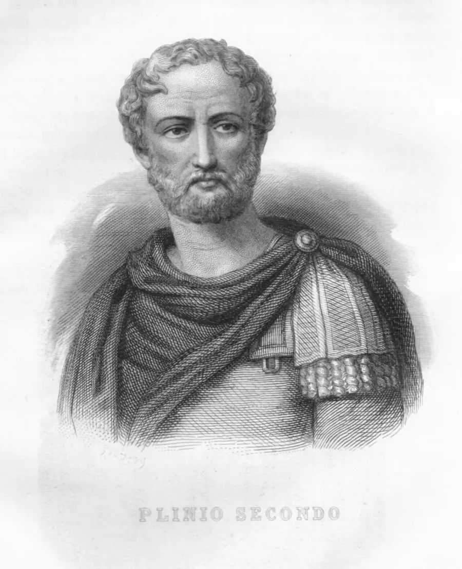 The Pliny the Elder card