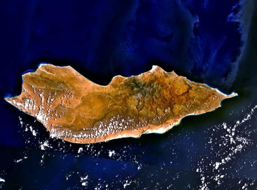 The Socotra card