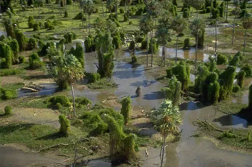 La carte Parc national Río Pilcomayo