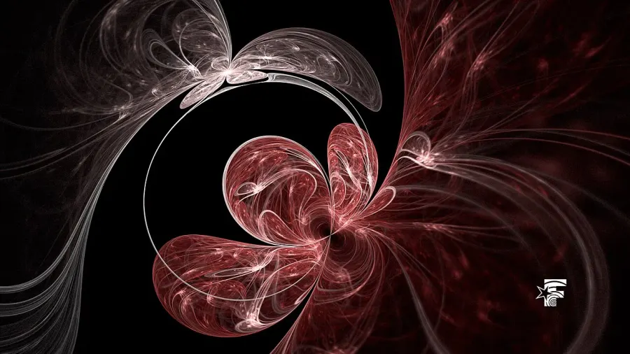 La carte Effets visuels