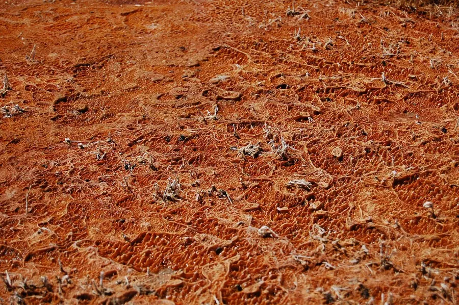 La carte Thermophile