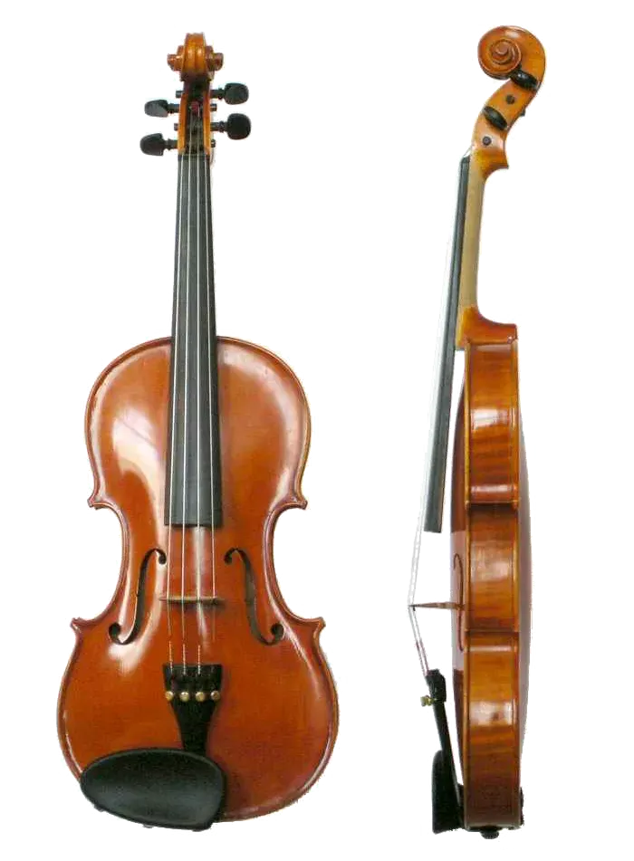 The Violin card