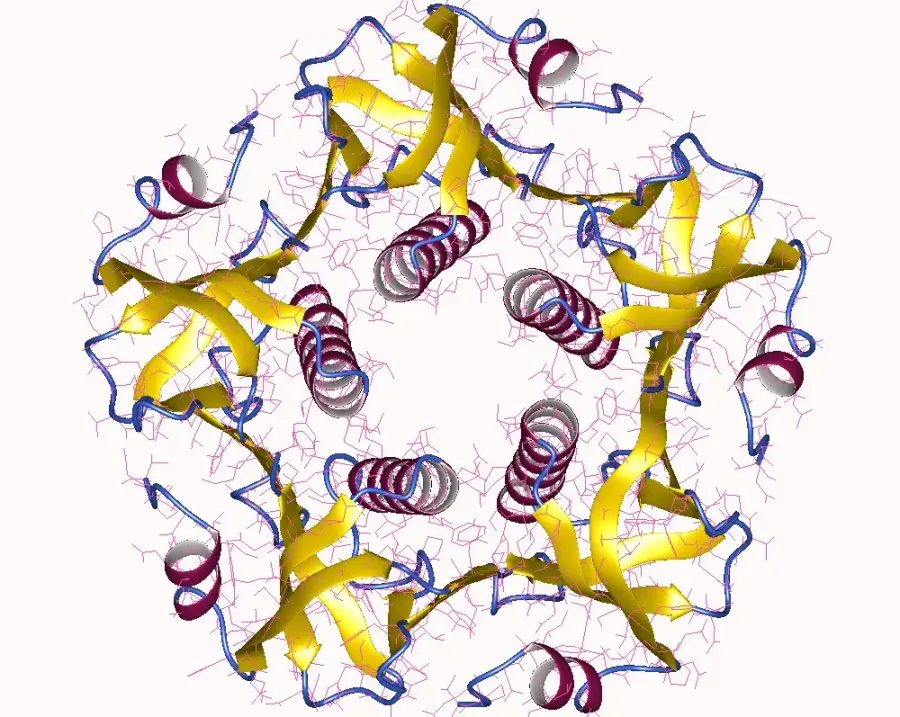The Cholera toxin card