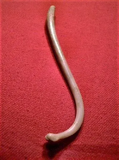 La carte Baculum