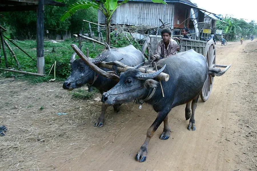 The Stung Treng province card