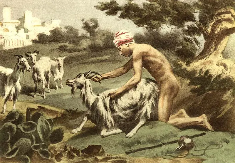 La carte Zoophilie