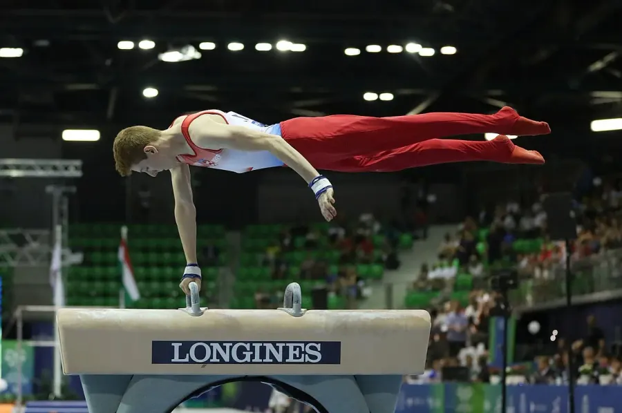 The Pommel horse card