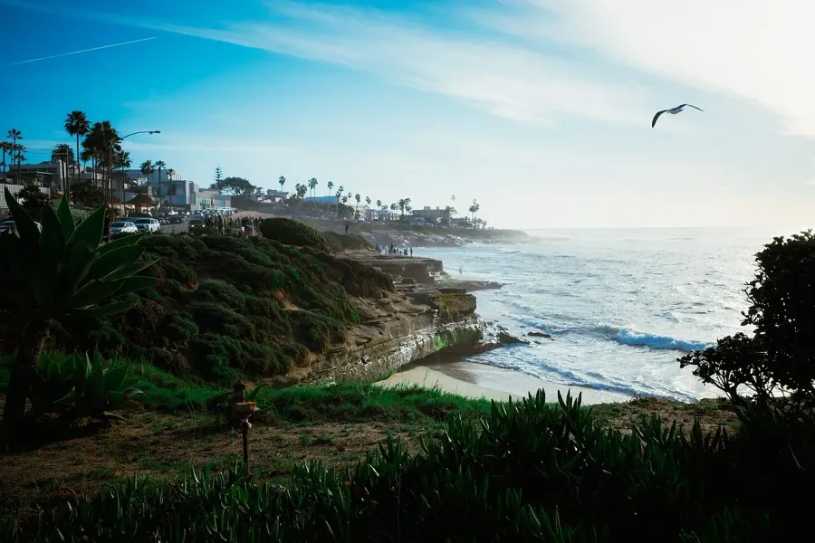 The La Jolla card