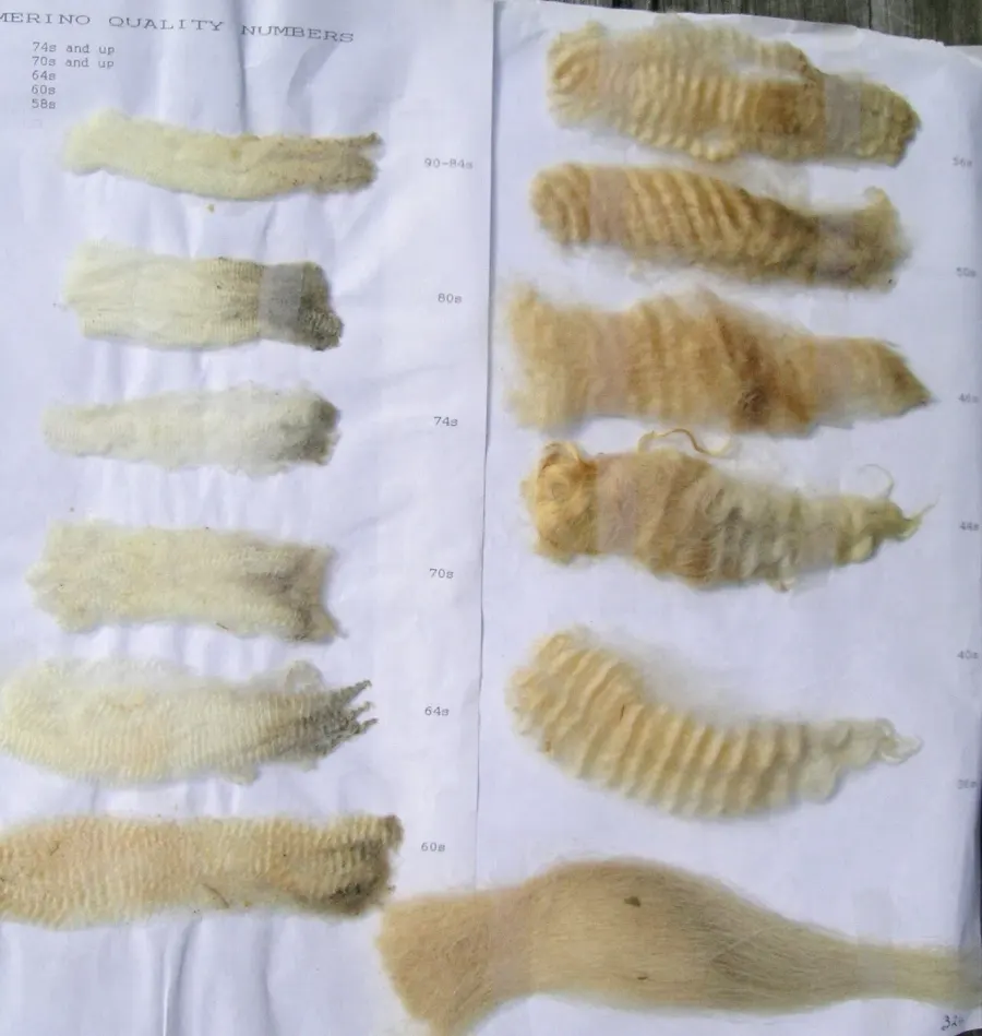 La carte Beige