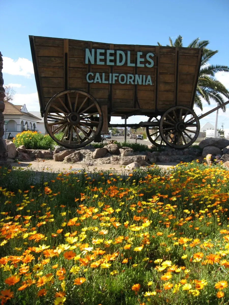 La carte Needles