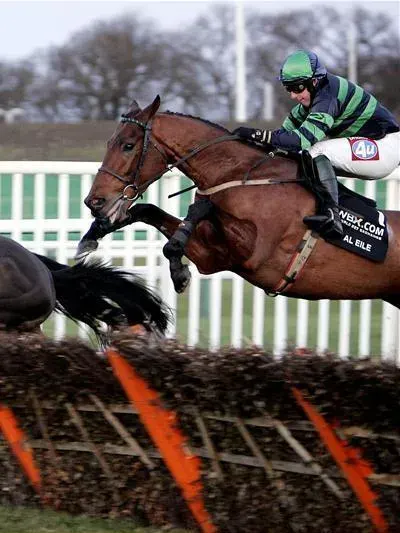 The Jockey card