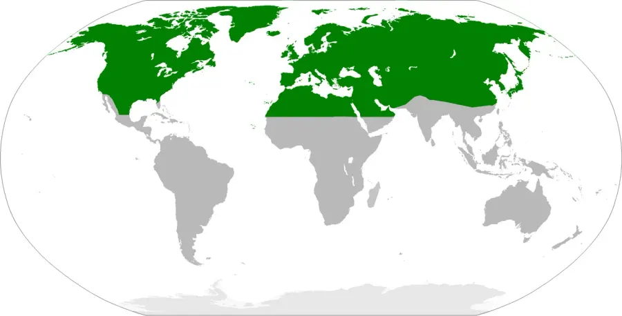 La carte Holarctique